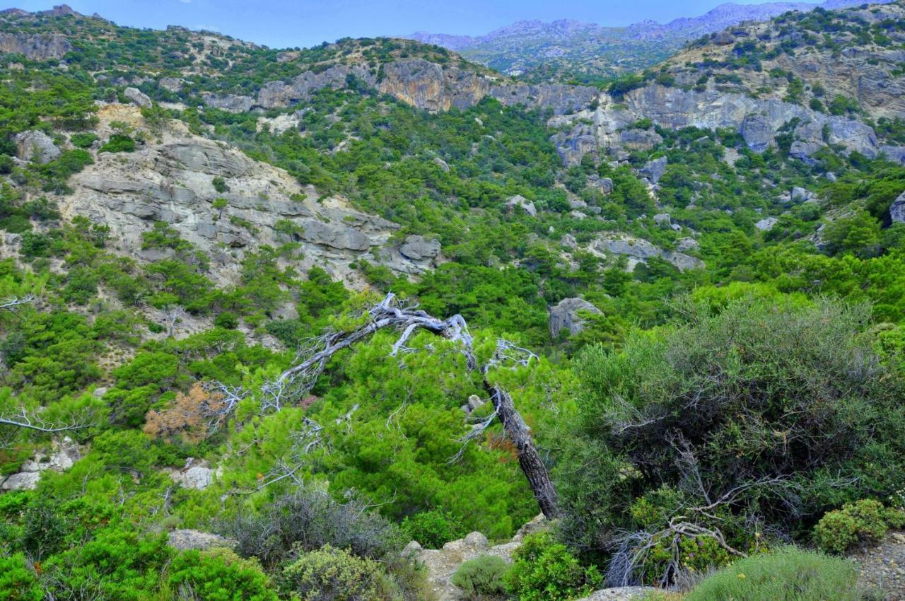 Dream Residence Agios Ioannis  Buitenkant foto